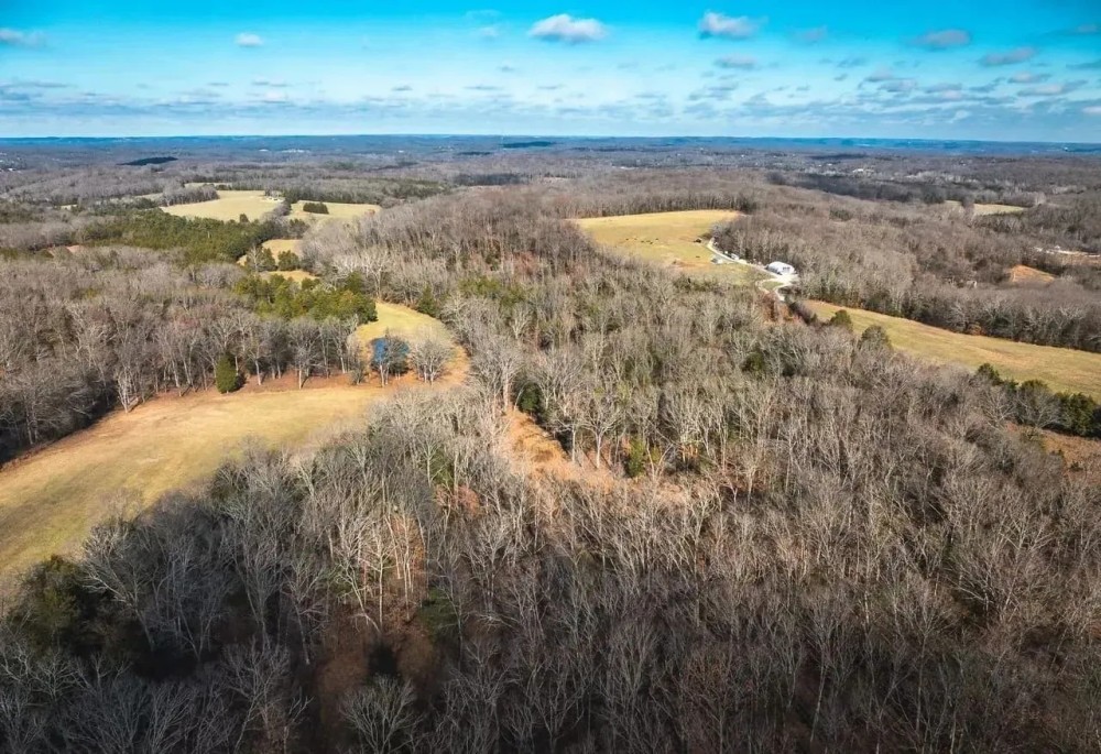 Zimmerman Road featured image