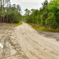 Lindsay Road images 2