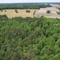 5.03 Acres of Recreational or Residential Land For Sale in Robeson County NC images 4