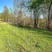 Siverly Ridge - 12 acres - Vinton County images 3