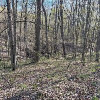 Siverly Ridge - 12 acres - Vinton County images 5