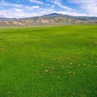 Willow Creek Ranch Colorado images 2