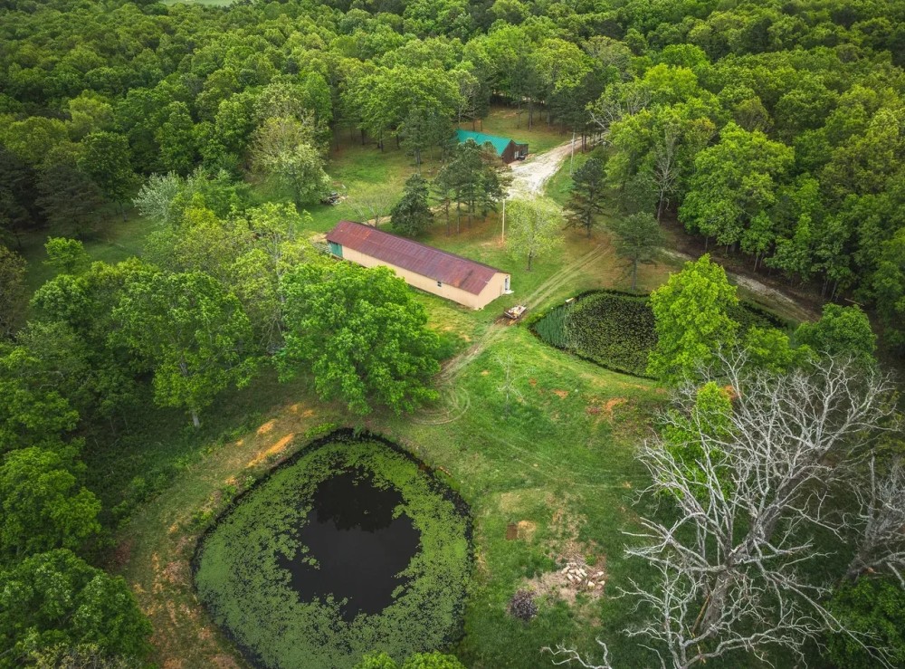 Ashley Creek Cabin featured image