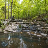 Ashley Creek Cabin images 3