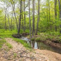 Ashley Creek Cabin images 4