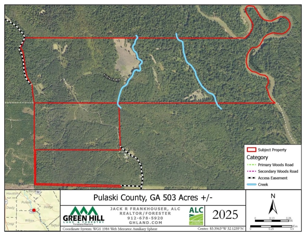 Pulaski County GA 503 Acres - featured image