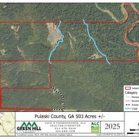 Pulaski County GA 503 Acres -