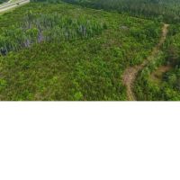 61 Acres in Greene County in McLain MS images 1