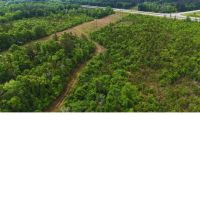 61 Acres in Greene County in McLain MS images 2