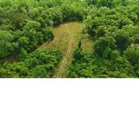 61 Acres in Greene County in McLain MS images 4