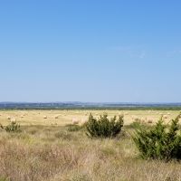 2020 BOBWHITE QUAIL LEASE