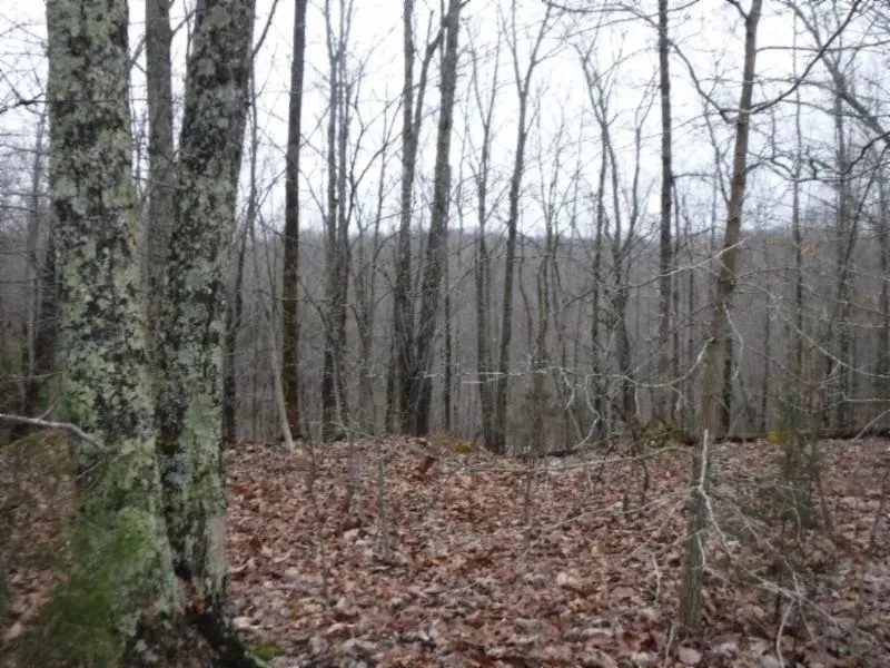 5.05 AC W MTN VIEWS IN A PRIVATE SECLUDED COUNTRY LOCATION featured image