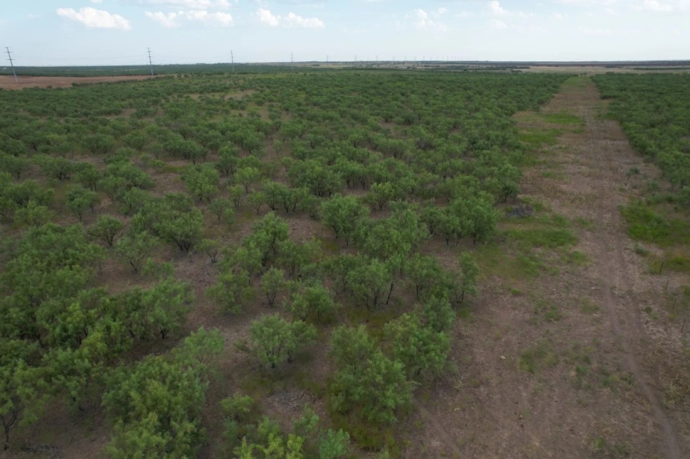 100 - Acres Jones County featured image