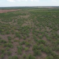 100 - Acres Jones County images 2