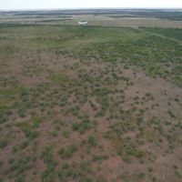 100 - Acres Jones County images 3
