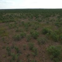 100 - Acres Jones County images 4