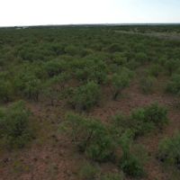 100 - Acres Jones County images 5