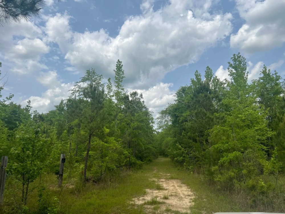 Awesome Opportunity in Russell Co AL featured image