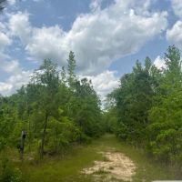 Awesome Opportunity in Russell Co AL