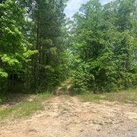 Awesome Opportunity in Russell Co AL images 3