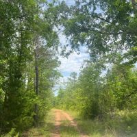 Awesome Opportunity in Russell Co AL images 4
