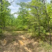 Awesome Opportunity in Russell Co AL images 5