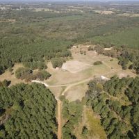 Morris County TX Hunting Recreational Ranch For SaleMorris County TX Hunting Recreational Ranch For Sale images 4