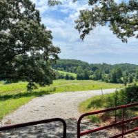 42 Acres - Inman South Carolina