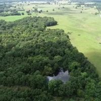 40-Acre Secluded Ranch or Recreational Retreat images 2