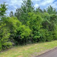 38 Acres T-4 CR 2145 images 4