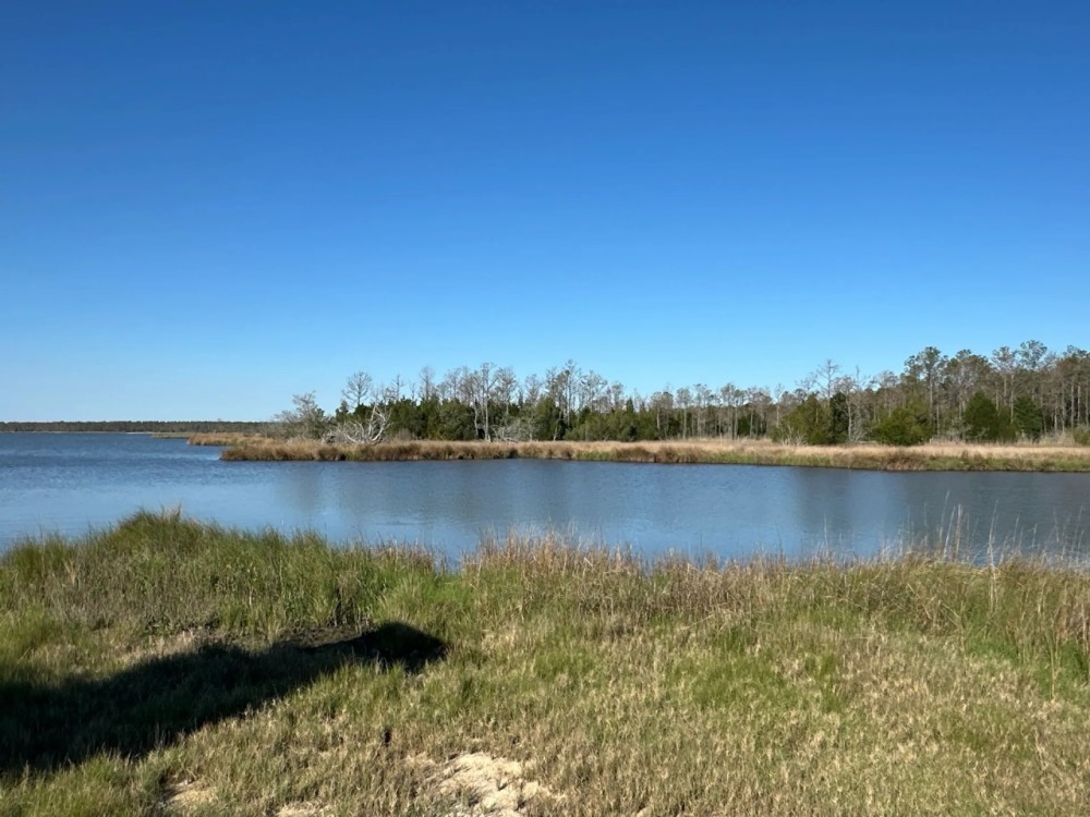 200-AC Hunting Waterfront Tract in Hyde County NC featured image