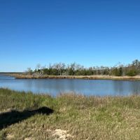 200-AC Hunting Waterfront Tract in Hyde County NC