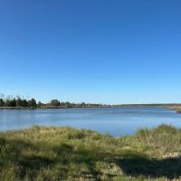 200-AC Hunting Waterfront Tract in Hyde County NC images 2