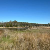 200-AC Hunting Waterfront Tract in Hyde County NC images 5