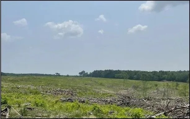 154.92 Acres in Grenada County in Coffeeville MS featured image