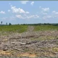 154.92 Acres in Grenada County in Coffeeville MS images 3