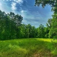 60 Acres in Holmes County in Cruger MS images 4