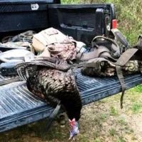 60 Acres in Holmes County in Cruger MS images 5