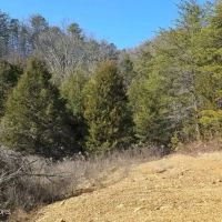 BIG BEAUTIFL BUILDING ON 20 ACRES IN SNEEDVILLE TN images 2
