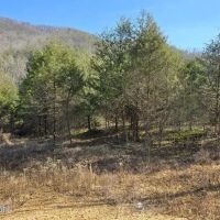 BIG BEAUTIFL BUILDING ON 20 ACRES IN SNEEDVILLE TN images 3