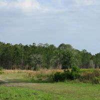 McGee Branch East Tract images 2