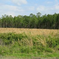 McGee Branch East Tract images 5