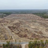 80 Acres of Juneau County Timber Land