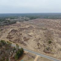 80 Acres of Juneau County Timber Land images 2