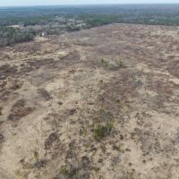 80 Acres of Juneau County Timber Land images 3
