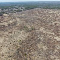 80 Acres of Juneau County Timber Land images 4