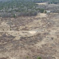 80 Acres of Juneau County Timber Land images 5
