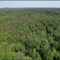 344.3 Acres in Lafayette County in Oxford MS images 5