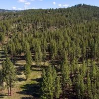 Ochoco Ranch images 4