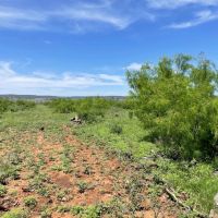 New Listing 25 Acres Taylor County